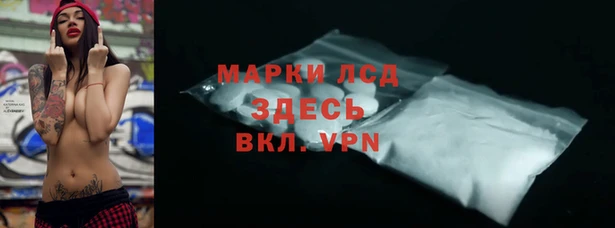гидра Абаза