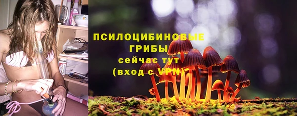 гидра Абаза