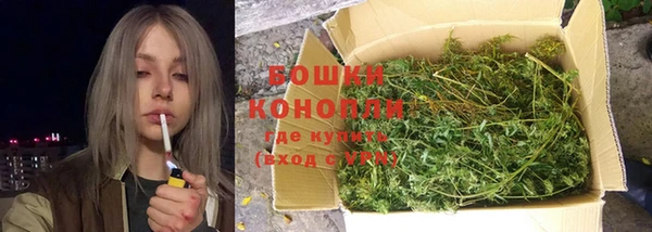 гидра Абаза