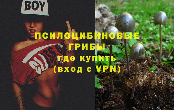 гидра Абаза