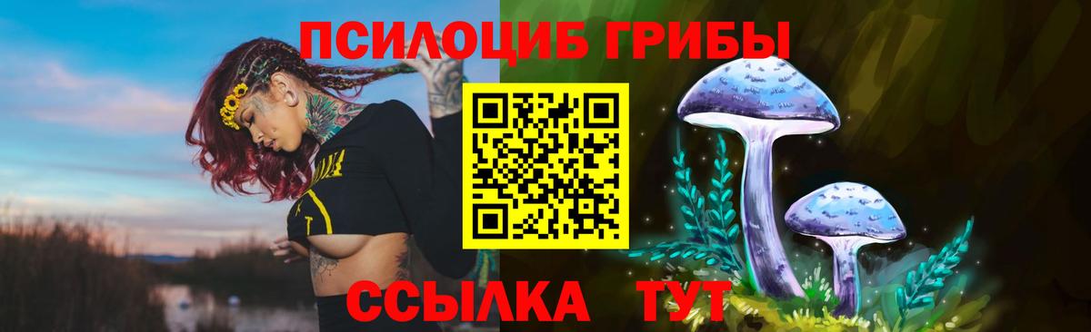 Галлюциногенные грибы Psilocybine cubensis  Вход с VPN  Стрежевой 