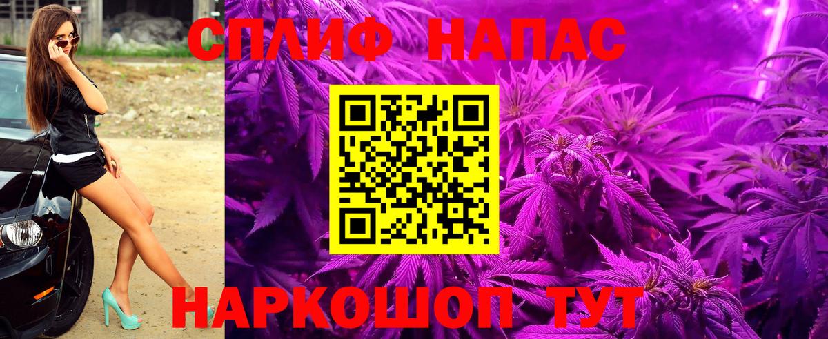 Бошки Шишки Стрежевой